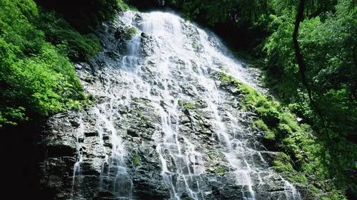 高精度数字化