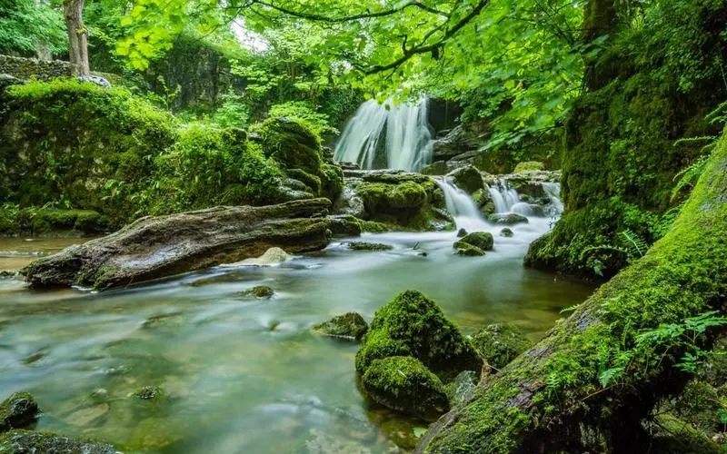 高质量高质量